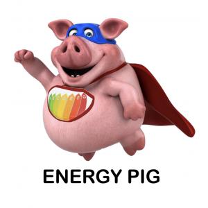 Energy Pig Ltd