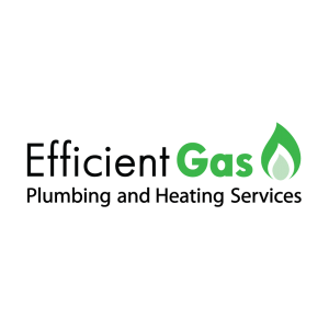 Efficient Gas Services ltd